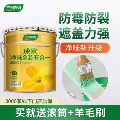 三棵树康家净味金装五合一乳胶墙面漆白色家用室内油漆涂料易擦洗图1