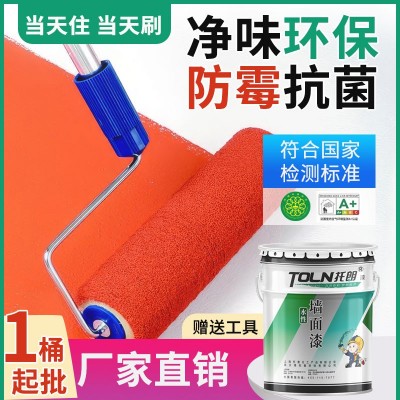 内墙乳胶漆室内家用自刷净味翻新墙面油漆墙漆厂家水性涂料批发图5