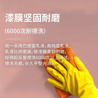 负离子超净防霉抗菌内墙乳胶漆室内家用自刷墙面漆墙漆水性乳胶漆图3