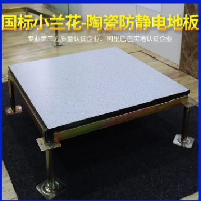 国标小兰花-陶瓷防静电高架空活动地板 表面静电化处理 金飞腾图2