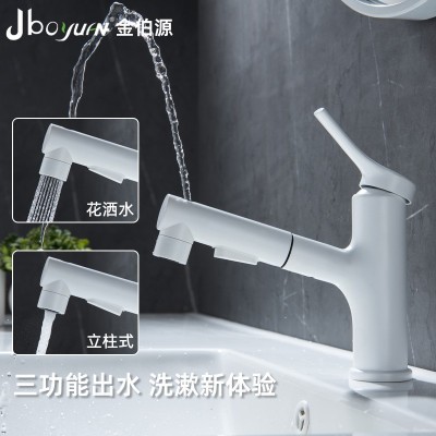 304不锈钢水镀哑白色抽拉式漱口多功能面盆冷热水龙头卫生间浴室图3