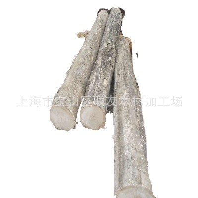 桉木原木 巴西桉 玫瑰桉 桉树原木桉木批发 港口供应图5