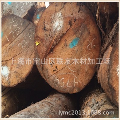 长期批发柏树原木 柏木原木 圆柱 棺木寿材 仿古建筑木材图3
