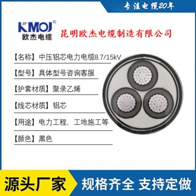 厂家批发国标高压电力线缆YJLV22铝芯高压电缆平铝芯国标铠装电缆图4
