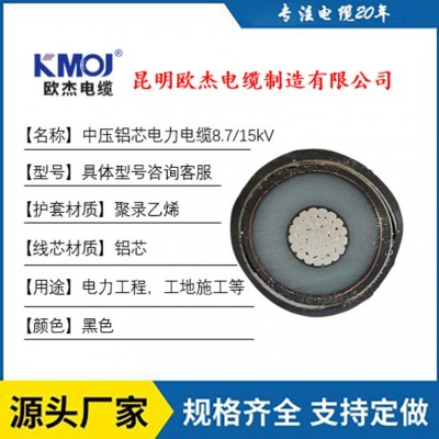 厂家批发国标铝芯JKLYJ铝芯1芯高压电缆铠装电缆10kv平方电缆电线图4