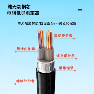 工厂YJV电缆线2芯1.5到400平方铜阻燃国标低压电力三相四线铜芯线图3