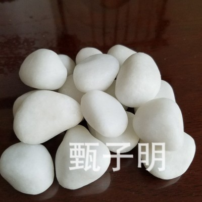 临沂厂家出售优良汉白玉鹅卵石 鹅卵石铺设地面装饰石子图4
