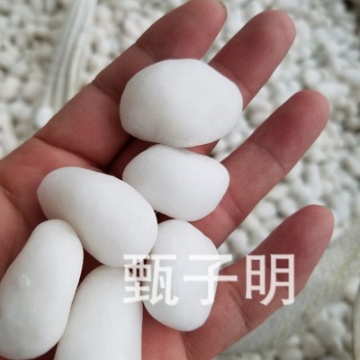 临沂厂家出售优良汉白玉鹅卵石 鹅卵石铺设地面装饰石子图3