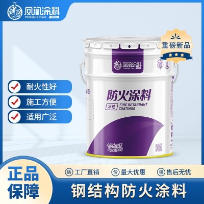 批发室内钢结构防火涂料阻燃膨胀性型防火漆水性防火涂料防火油漆