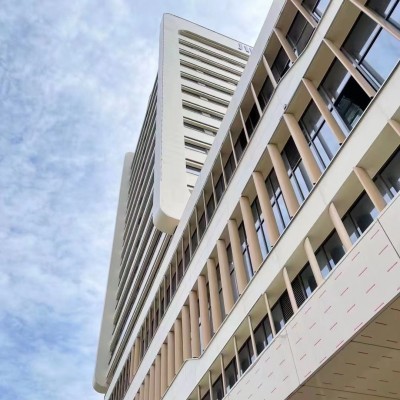 外墙模块化板抗紫外线日吉华同款清水混凝土外墙纤维水泥板SDC图4