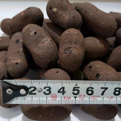 陶粒厂家建筑工地楼顶填充页岩黏土卫生间回填车库回填材料陶粒批图2