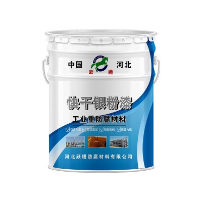 快干银粉漆银色金属防锈漆厂家批发快干栏杆铁门钢管银浆金属油漆图5