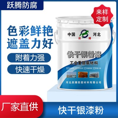 快干银粉漆银色金属防锈漆厂家批发快干栏杆铁门钢管银浆金属油漆图1