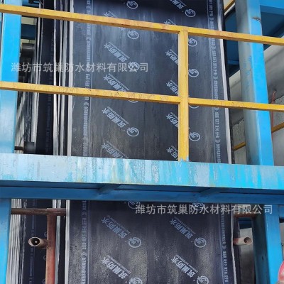 SBS防水卷材化学阻根耐根穿刺防水 3mm4mm火烤型改性沥青防水卷材图2