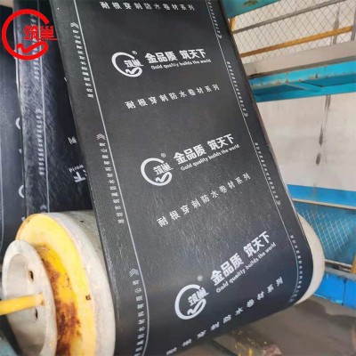 SBS防水卷材弹性体改性沥青防水卷材 耐根穿刺防水卷材加工定制图2