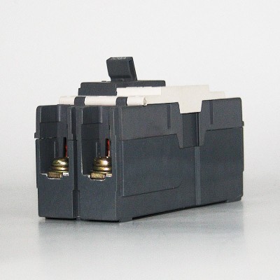 生产2P塑壳式断路器100A80A高品质ABE款东南亚市场紫铜交直流通用图3