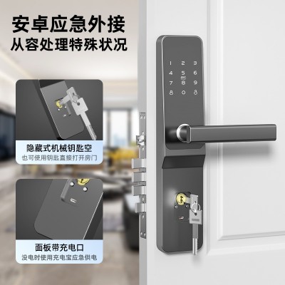 智能门锁批发防盗门电子锁出租房民宿IC通通锁APP远程 公寓密码锁图2