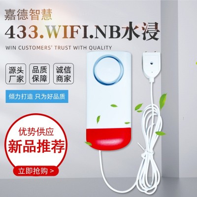 433wifiNB-IOT水浸家用远程智能水浸探测器漏水感应水位报警器图1