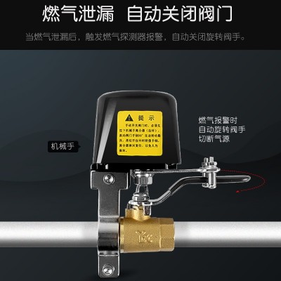 燃气报警器 家用煤气可燃气泄漏煤气切断阀罐钢瓶机械手电动阀门图3