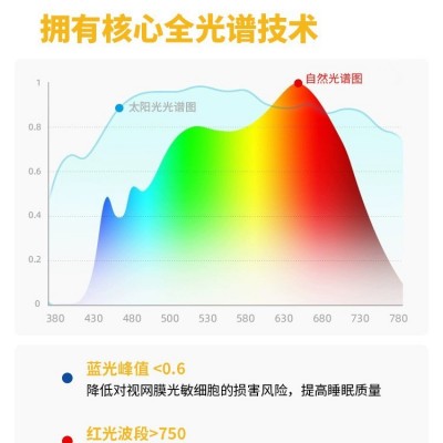 2023新款现代简约餐厅吊灯荷叶小户型家用侘寂风饭厅餐桌吊线灯图2