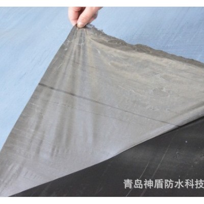 国外标准EPDM自粘胶膜防水卷材出口型图2
