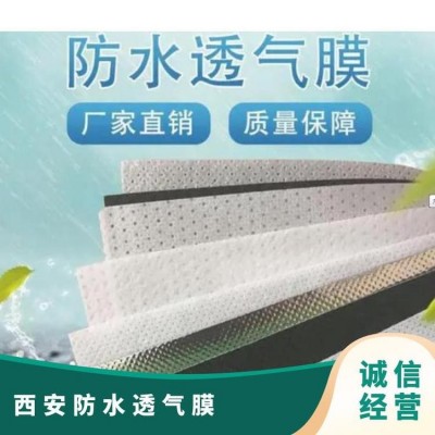 PE防潮隔汽膜 聚酯膜 聚丙烯 防水透气膜源头工厂图2