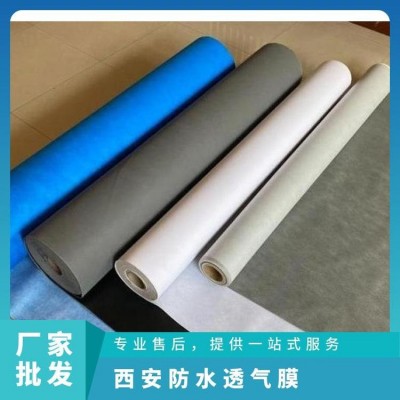 PE防潮隔汽膜 聚酯膜 聚丙烯 防水透气膜源头工厂图4