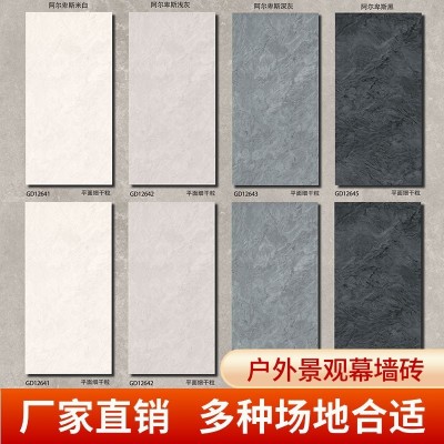 户外幕墙瓷砖庭院外墙地砖别墅院子花园仿古地铺石阳台石英砖室外图1