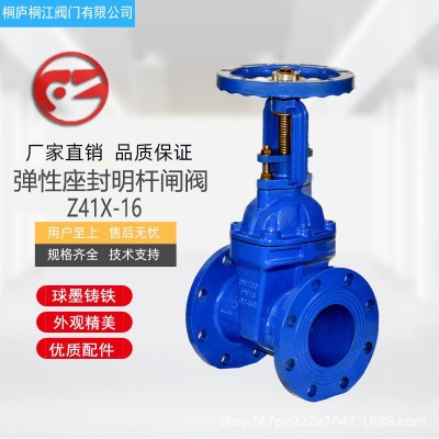 专业供应 弹性座封明杆闸阀Z41X-16 厂家直销 水泵房排污闸阀图1