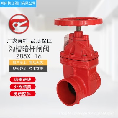 沟槽闸阀Z85X暗杆手动软密封型直通式闸阀 专用卡箍闸阀厂家直销图1