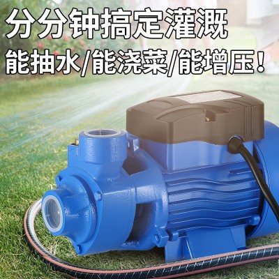 QB60自吸清水泵漩涡式离心泵自来水管道加压泵太阳能增压 泵循环泵图2