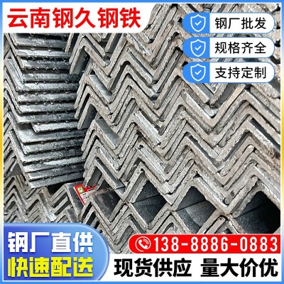 厂家现货热镀锌角钢Q235B建筑幕墙用等边角铁支架冲孔角 钢50*50图4