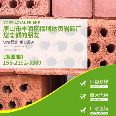 厂家多孔砖天津北京廊坊地区页岩砖实心红砖烧结砖清水墙砖直供图2