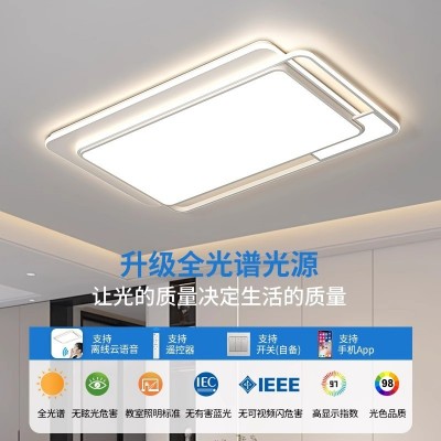 中山灯具客厅卧室吸顶灯现代简约大气灯具全屋新款长方形家用大灯图2