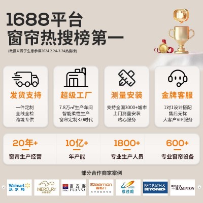 日式高端简约窗帘透光不透人幻影纱纱帘白色白纱成品客厅卧室窗纱图4