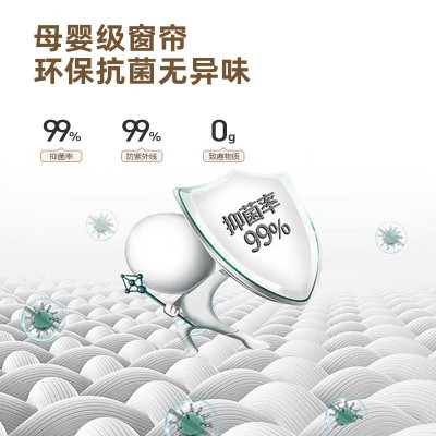 森系雪尼尔2024升级新款全遮光简约现代布艺窗帘客厅卧室送定型图3