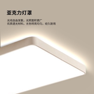 吸顶灯大厅高级感超薄主卧室灯家用简约现代客厅灯中山灯具图5
