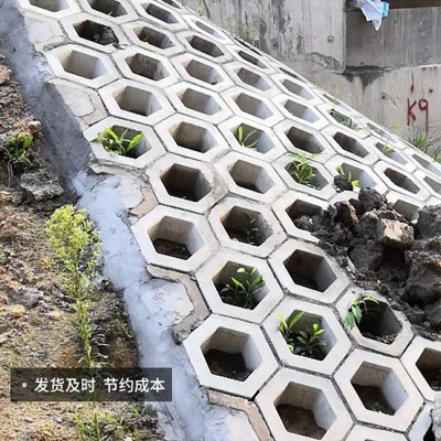 广东佛山六角护坡砖防水六角空心砖河道植物草坪砖水泥砖现货批发图3