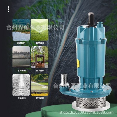 QDX家用潜水泵220V小型高扬程清水泵农用井水灌溉大流 量抽水泵图3