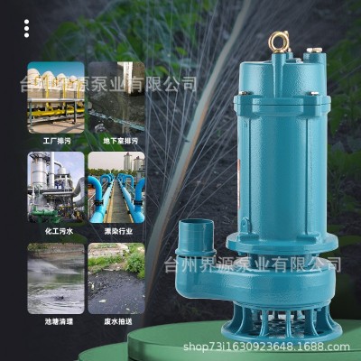 WQD家用污水泵废水污水无堵塞排污泵小型农用大流量化粪 池抽水泵图3