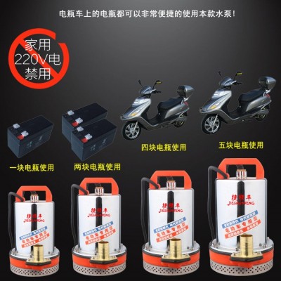 潜水泵12V大流量家用直流潜水泵小型潜水泵抽水泵电动抽水泵 批发图5