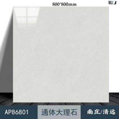 佛山厂家直销柔光肌肤釉通体陶瓷连纹全瓷800x800地面砖客厅卧室图3