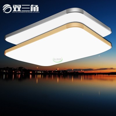 批发现代简约卧室灯 LED吸顶灯长方形苹果客厅房间灯装修灯具灯饰图1