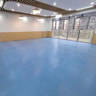 pvc塑胶地板贴幼儿园办公室宠物医院同质透心地胶垫地板革2mm 3mm图4