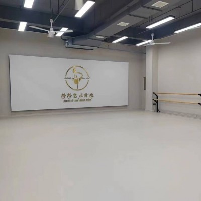 pvc塑胶地板贴舞蹈地胶垫瑜伽健身房地板革纯色灰色3.5mm 4mm 5mm图3