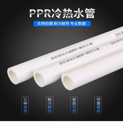 厂家批发上海PPR管 ppr冷热水管 管材管件热熔水管 ppr自来水管图4