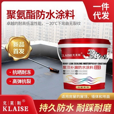 聚氨酯防水涂料屋顶裂缝堵漏单组份水性防水材料房顶补漏一件代发