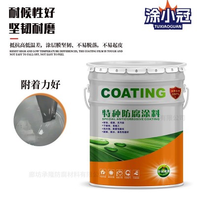 环氧云铁中间漆污水池冷却塔防漆地下窒防水防腐漆环氧富锌底漆图4