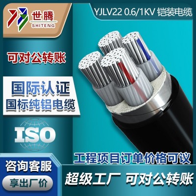 定制铝芯电力电缆线YJLV3*35+1 4+1 5芯电缆16 25 70 95 18 5平方