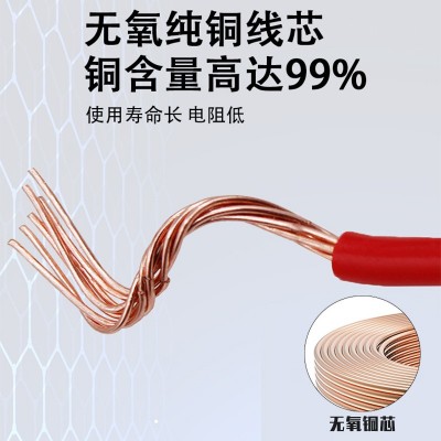 广东珠江电线电缆国标ZC-BVR阻燃1.5/2.5/4/6/10平方家用多股电线图3